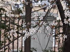 -颐景园