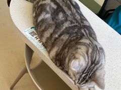 -美联众合动物医院·24h京西诊疗中心