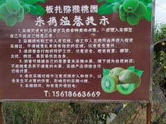 -锦江中华村农家乐饭庄