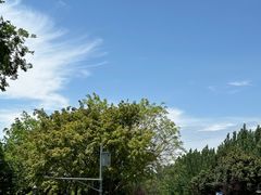 -两河城市森林公园