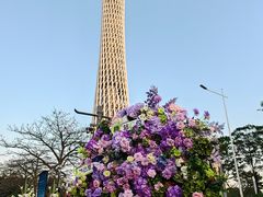-广州塔