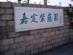 -嘉定紫藤园