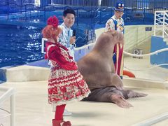 -泉城欧乐堡海洋极地世界