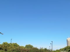 -海德公园