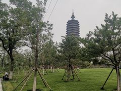 -西海子公园