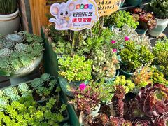 -老姐石板烧烤+铜炭火锅(总店)