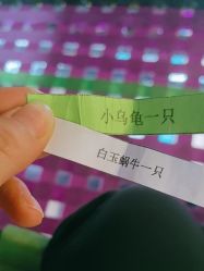 -欧酷世界动力星球(王府井奥莱UP TOWN店)
