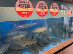 -淘米捞·米汤脆鲩鱼火锅(福田皇岗店)