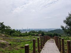 -白水寺森林公园