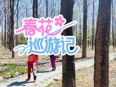 -黑龙江省森林植物园