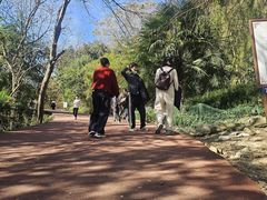 -敬亭山风景名胜区