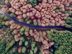 -山王坪喀斯特国家生态公园