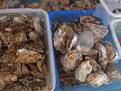 -老太太海鲜城(森林公园任家台店)