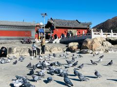 -五台山风景名胜区