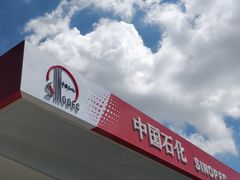 -中国石化北蔡加油站