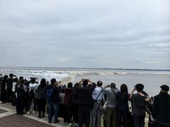 -观潮胜地公园