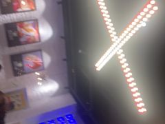 -东厨虾煌(电子街店)