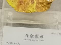 -湖南省地质博物馆