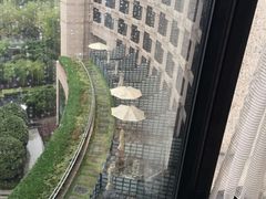 -杭州君悦酒店
