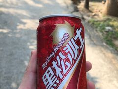 -白沙湾海滩