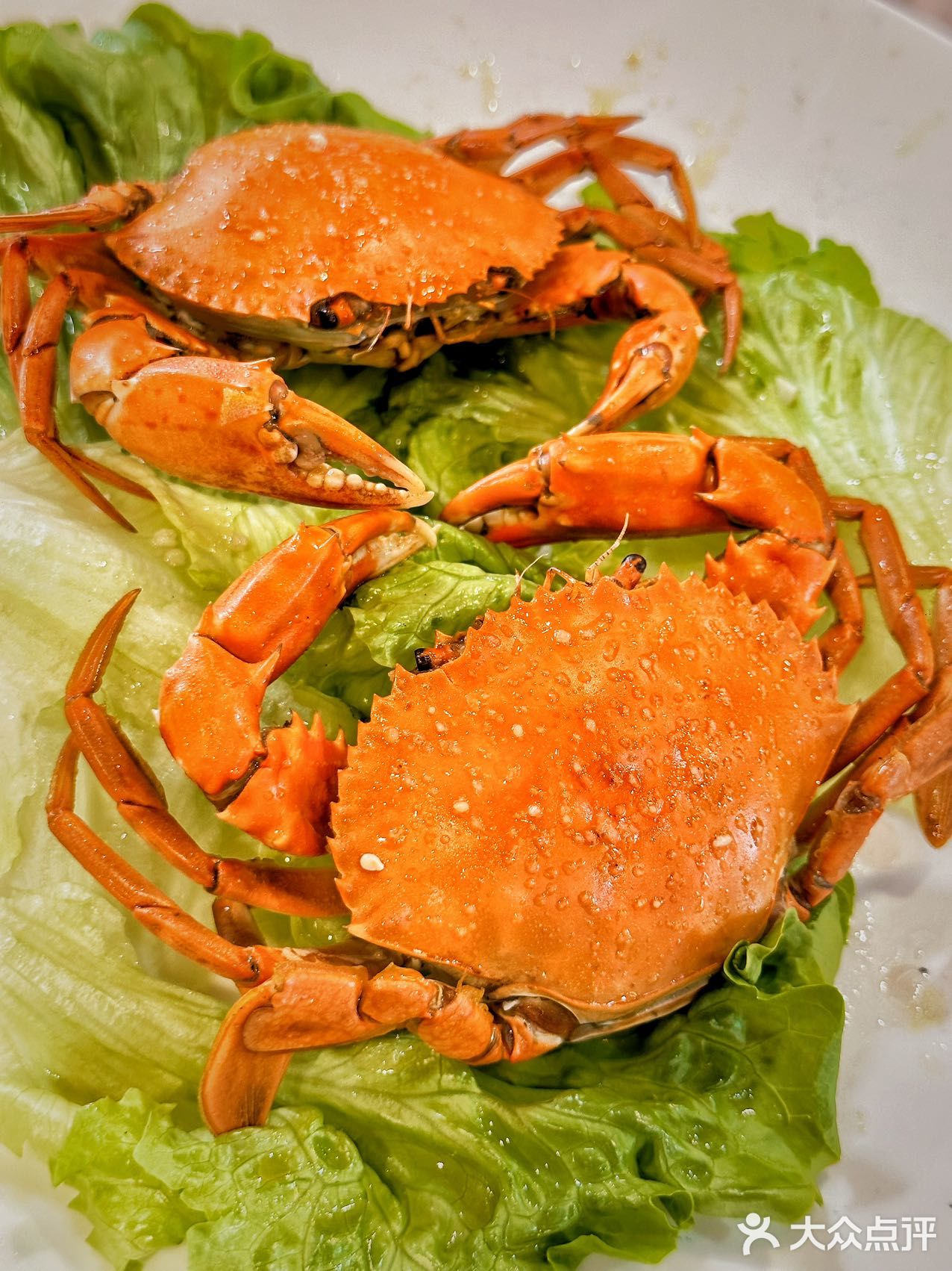 必吃顺德鱼生！你绝对不能错过的老字号！🌟