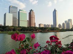 -万绿园