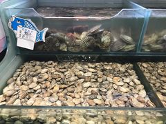 -鸣记脆皮烤鱼·海鲜烤鱼(三八广场店)