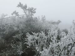 -金子山原生态旅游风景区