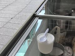 -洪馨椰子