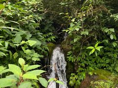-西岭雪山大飞水景区