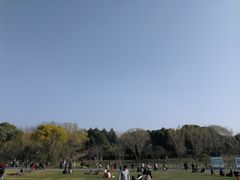 -昆山城市生态森林公园