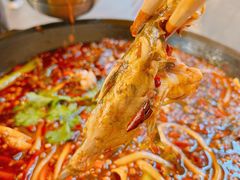 -鸿顺老铁锅美蛙鱼府(解放碑店)