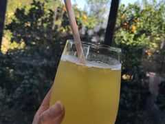 橘子汁-Encore Cafe&Bar安可咖啡