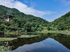 -桃花岭景区