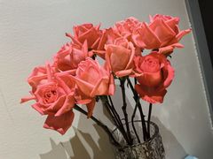 -龙大花卉苗木市场