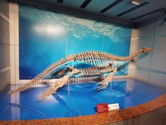 -自贡恐龙博物馆