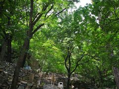 -北京鹫峰国家森林公园