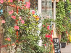 -NokNok Coffee(宽窄巷子店)