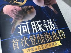 -海底捞火锅(河东万达广场店)