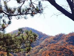 -玉渡山自然风景区