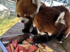 -水上乐园·欢乐世界