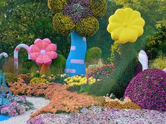 -上海共青森林公园