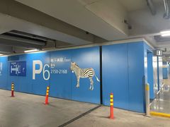 -虹桥综合交通枢纽-P6停车库