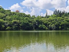 -深圳仙湖植物园