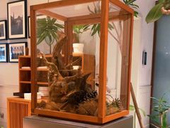 -一尺花园(安和花园店)