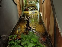 -邈墨茶馆(凤起路店)