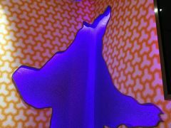 -米乐星世界KTV
