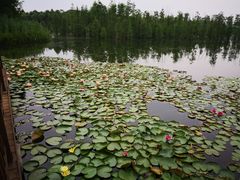 -白鹭湾湿地公园