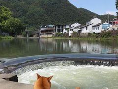 -鹿亭中村