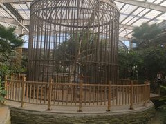 -南宫五洲植物乐园